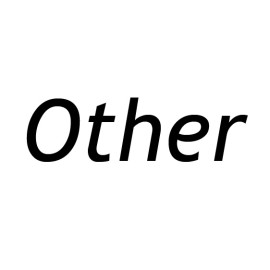 其他 (0)