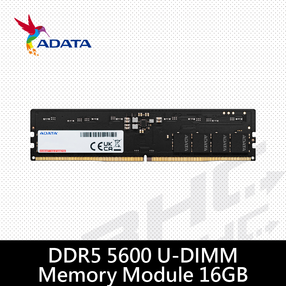 威剛 ADATA 16G DDR5-5600