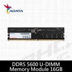 威剛 ADATA 16G DDR5-5600