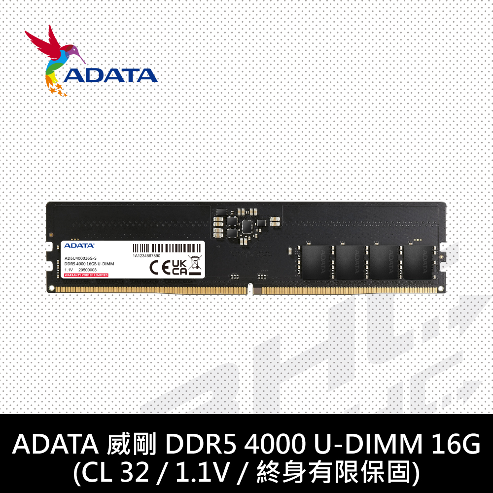 [限搭板]威剛 ADATA 16GB DDR5-4000