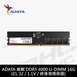 [限搭板]威剛 ADATA 16GB DDR5-4000