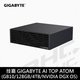 技嘉 ATOM GEN4 GB10 4TB