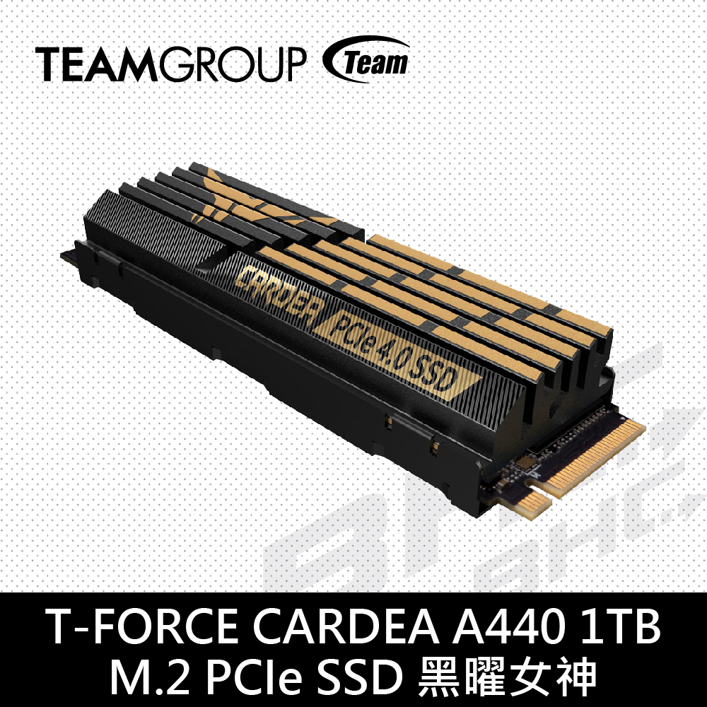 T-FORCE CARDEA A440 1TB M.2 PCIe SSD 黑曜女神