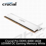 [限搭板]美光 16GB DDR5 6000 PRO 超頻 白散熱片