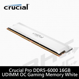 [限搭板]美光 16GB DDR5 6000 PRO 超頻 白散熱片