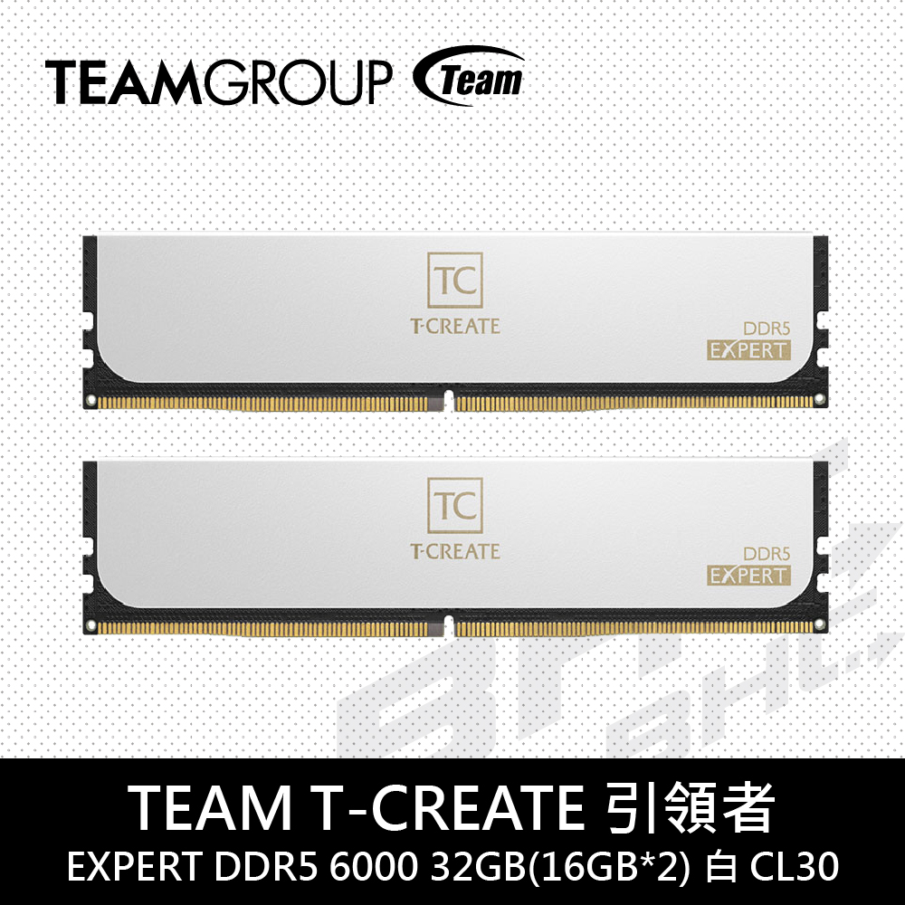 TEAM 十銓 T-CREATE 引領者 EXPERT DDR5 6000 32GB(16GB*2) PC 白CL30