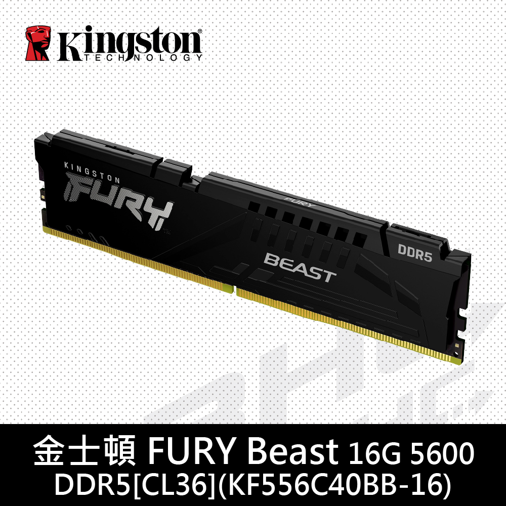 金士頓 16GB DDR5-5600 FURY Beast[CL36](KF556C40BB-16)【具XMP、EXPO】