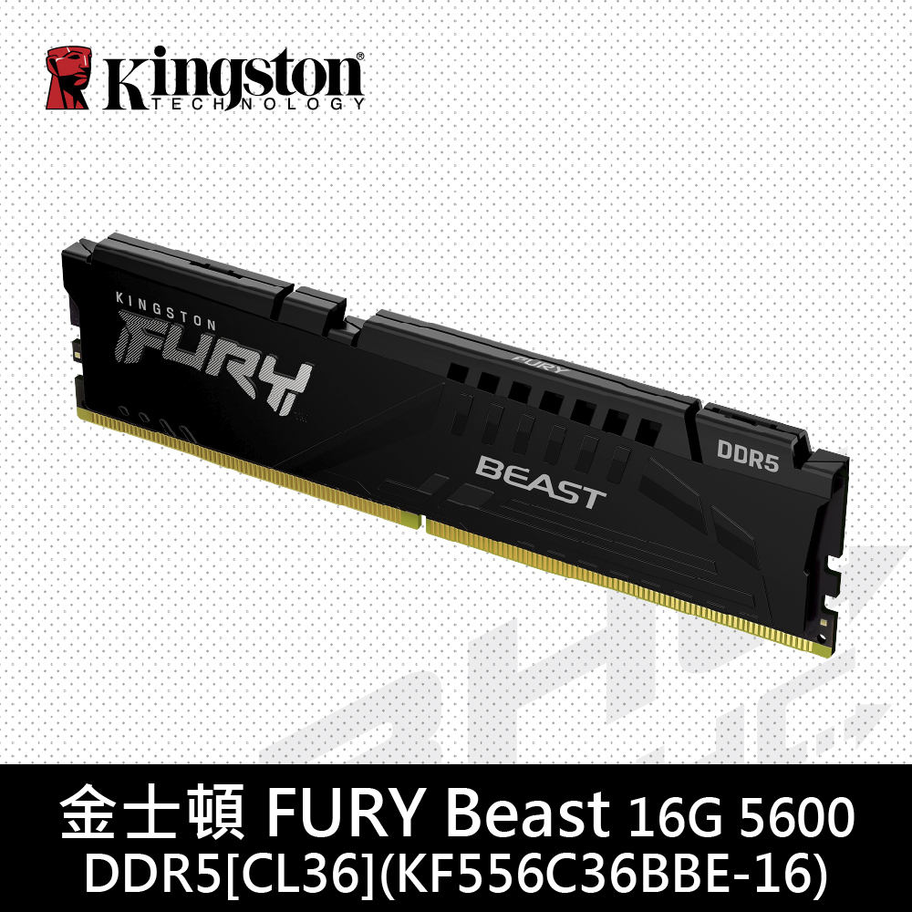 金士頓 16GB DDR5-5600 FURY Beast[CL36](KF556C36BB-16)【具XMP、EXPO】