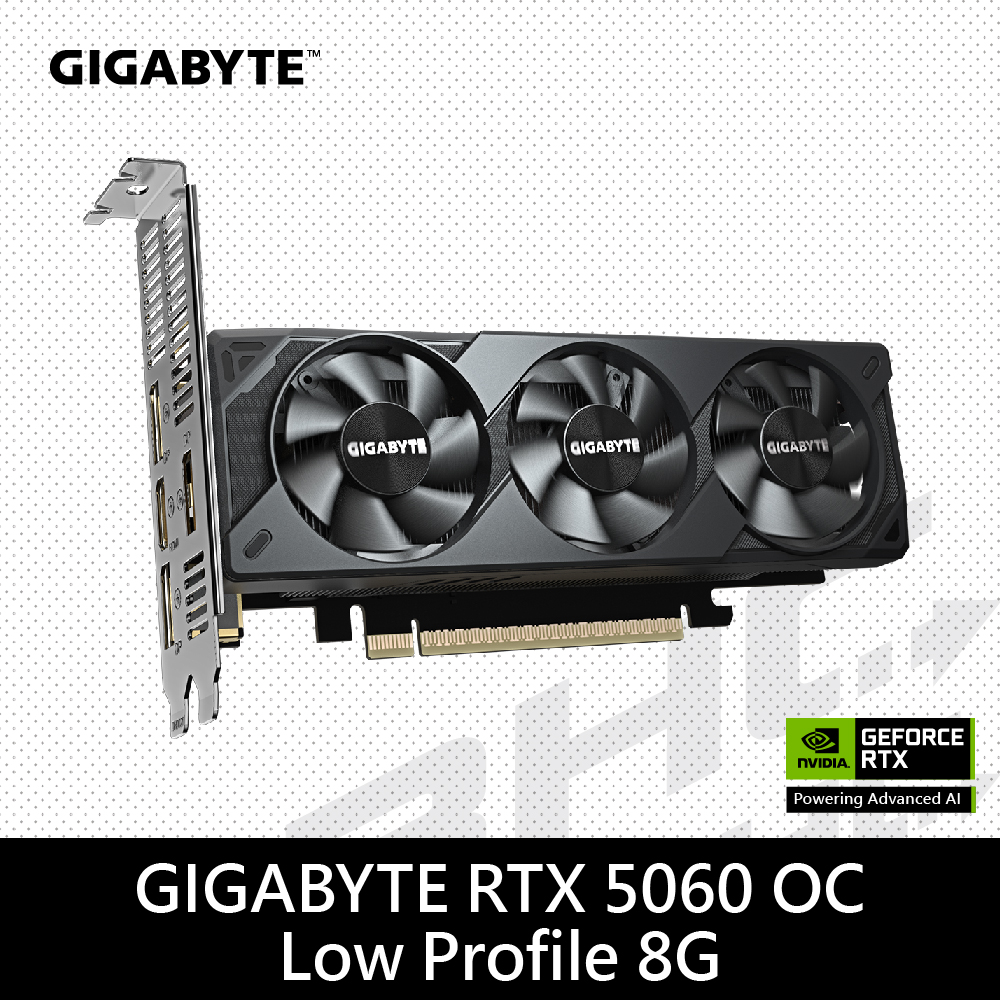 技嘉 RTX5050 OC Low Profile 8G(18.2/三風扇/註冊4年)