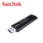 SanDisk CZ880 256G