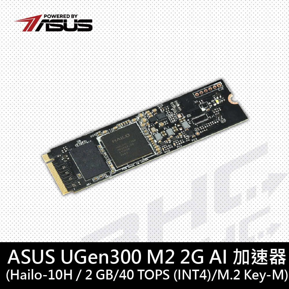華碩 UGen300 M2-2G AI 加速器[搭載Hailo-10H/2GB DDR4/M.2 2280]