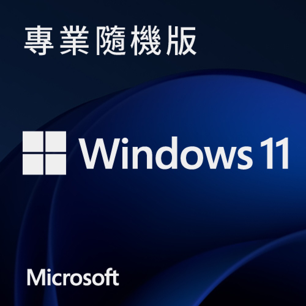 Windows 11 專業中文版 64位元 隨機版