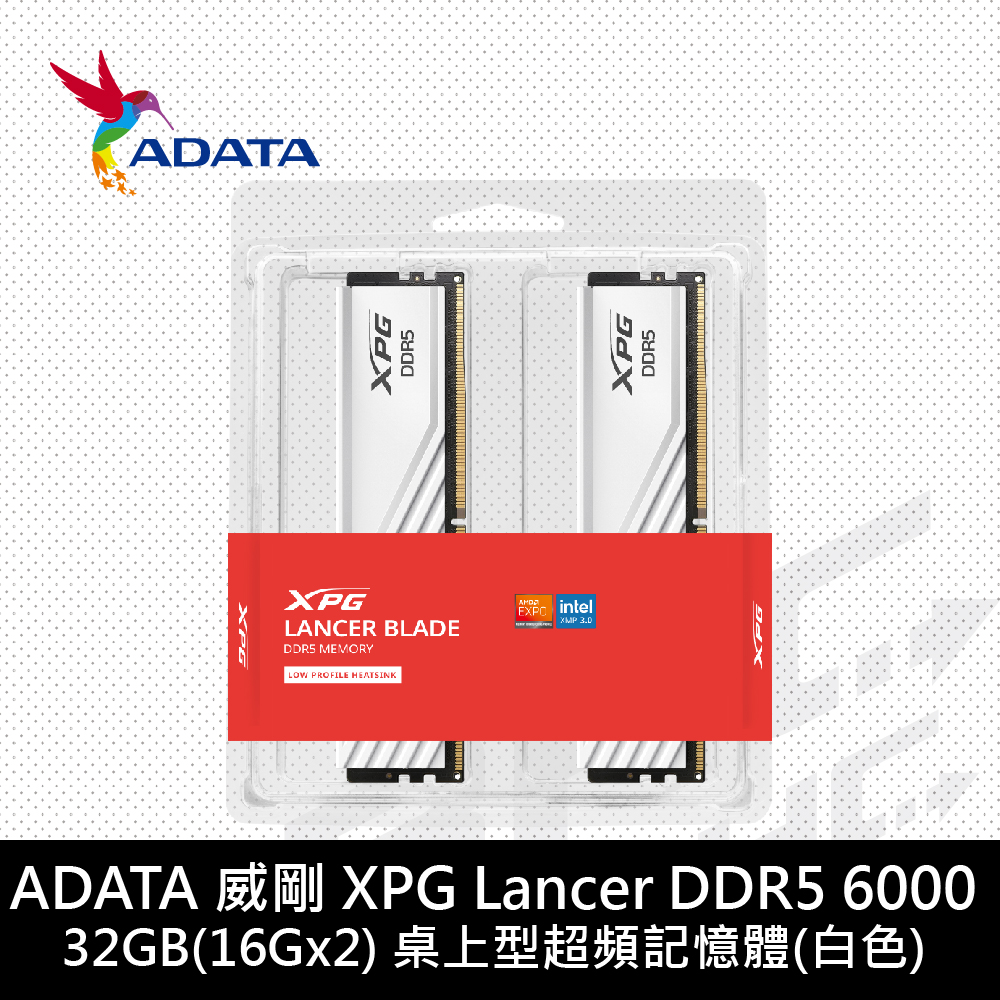 [限搭板]威剛 XPG 16GX2 DDR5 6000 超頻 CL30 LancerBlade矮 白